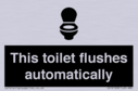 this-toilet-flushes-automatically~